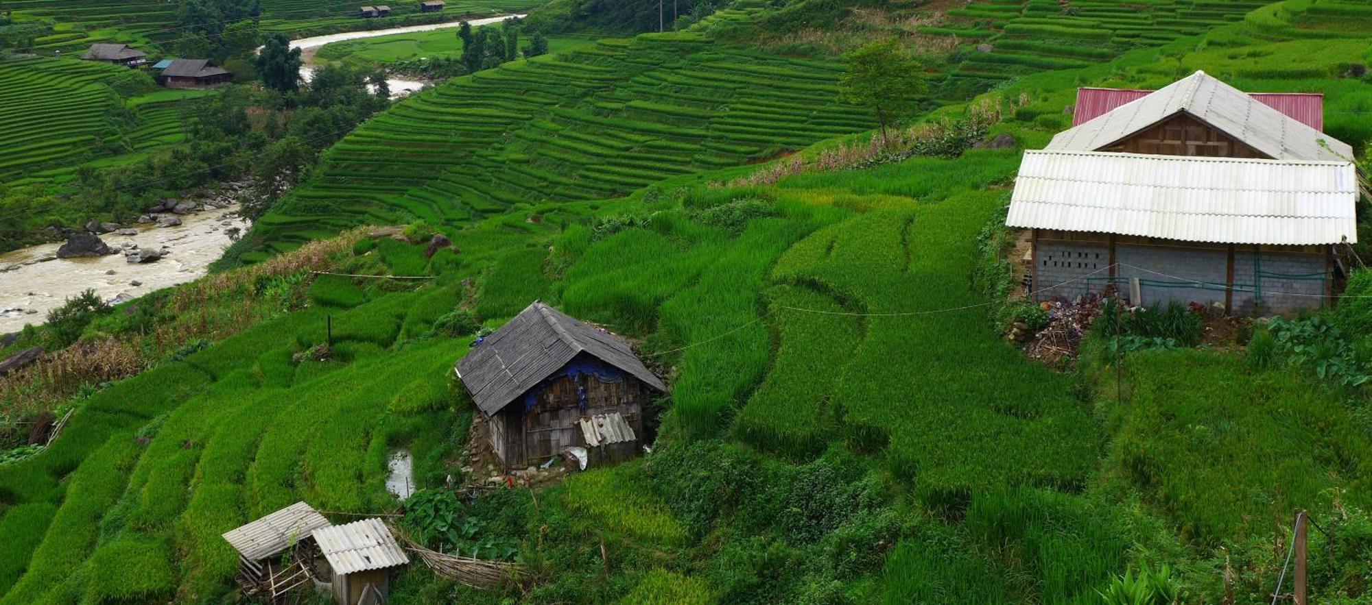 Freedom Homestay & Trekking Sa Pa Luaran gambar