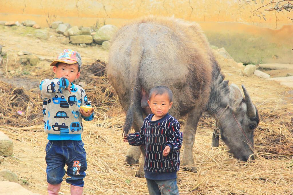 Freedom Homestay & Trekking Sa Pa Luaran gambar