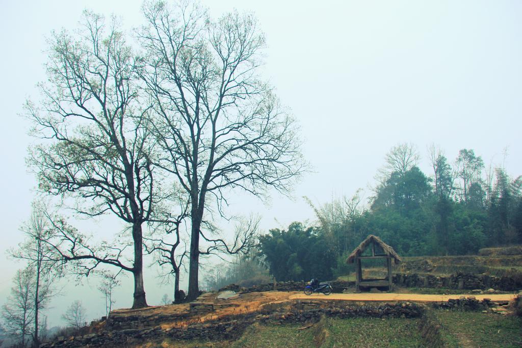 Freedom Homestay & Trekking Sa Pa Luaran gambar