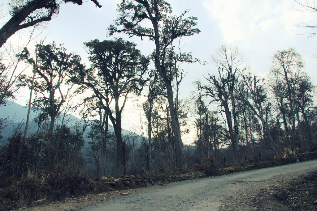 Freedom Homestay & Trekking Sa Pa Luaran gambar