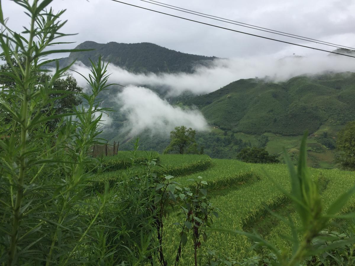 Freedom Homestay & Trekking Sa Pa Luaran gambar