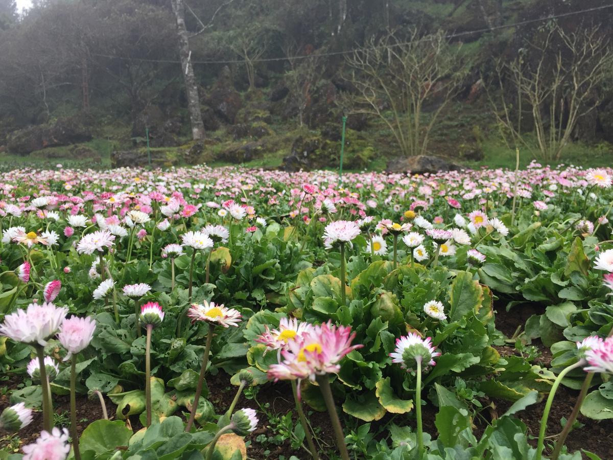 Freedom Homestay & Trekking Sa Pa Luaran gambar